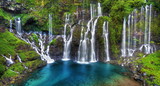 Fototapeta Koty - Site de la cascade de Grand-Galet, La Réunion.