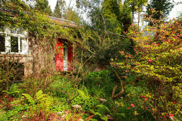 Canvas Print - Old garden with an old cottage