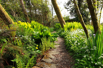 Sticker - Beautiful Spring garden with blooming flowers and a path