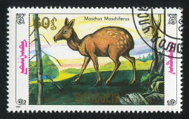 Sticker - Moschus Moschiferus