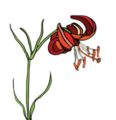 Aufkleber - Lily stained glass window