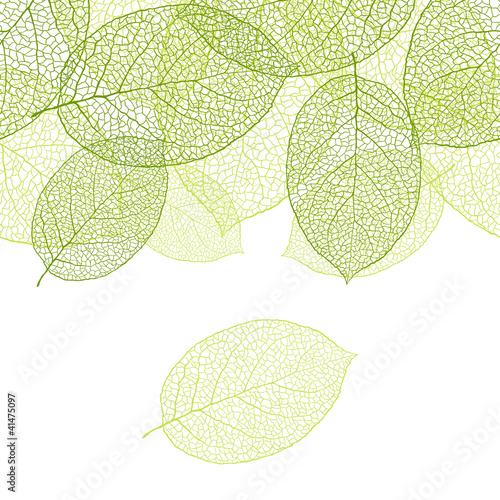 Obraz w ramie Fresh green leaves background - vector illustration