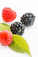 Canvas Print - Berry fruits