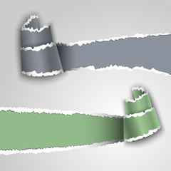 Wall Mural - ripped paper banners