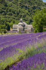 Wall Mural - Abbaye de SèmAbbaye de Sèmamque Francia