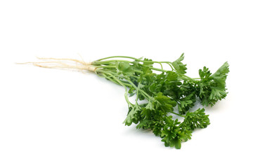 Wall Mural - Fresh parsley