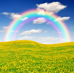Wall Mural - spring landscape with rainbow