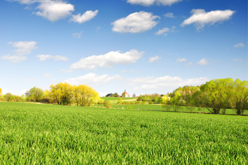 Wall Mural - spring landscape in the czech republic