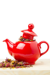 Wall Mural - red teapot with healing herb - echinacea