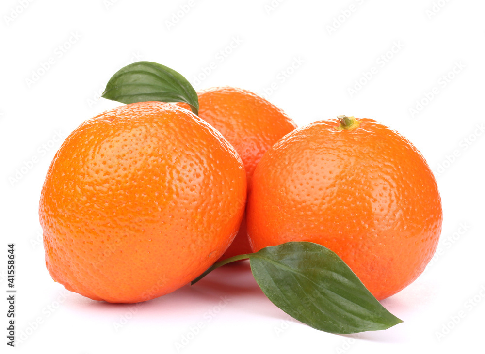 mineola fruits with leafs  isolated on white