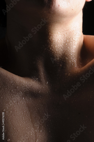 Obraz na płótnie canvas czteroczęściowy "tetraptyk" Kobiece bodyparts - hals