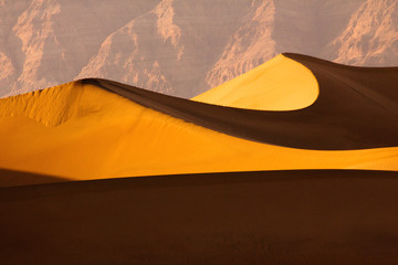 Mesquite sand dunes in Death Valley California