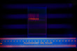 Electrophoregram of DNA separation