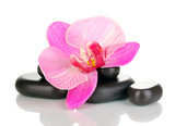 Fototapeta  - Spa stones with orchid flower isolated on white