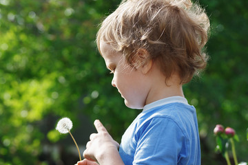 Wall Mural - Little cute boy holding a dandelion outdoors