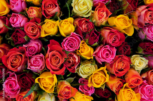 Naklejka dekoracyjna Flowers. Colorful roses background