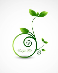 Wall Mural - abstract nature leaf circle frame ecology vector