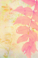 Beautiful Artistic Background With Fern Leaf.