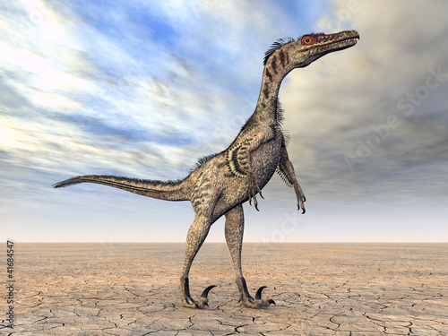 Board z aluminiowym obramowaniem Velociraptor