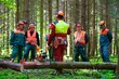 Waldarbeiter - Baumfällen
