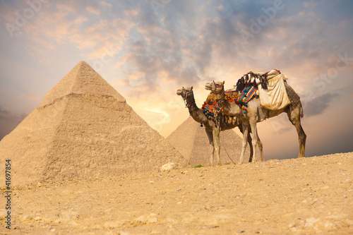Nowoczesny obraz na płótnie Double Camel Giza Pyramids