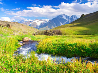 Wall Mural - river on meadow