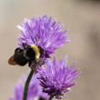 110_F_41710277_zkiFDgfh1FR8tPuMqodEk0DwkeTKJBd8.jpg