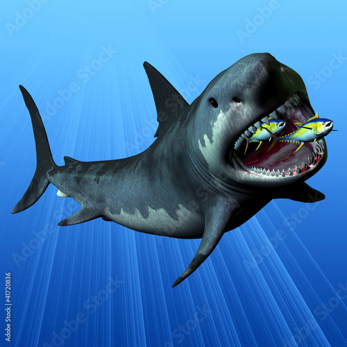 Obraz na płótnie canvas trzyczęściowy "tryptyk" Megalodon