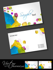 Wall Mural - Abstract professional and designer business card template or vis