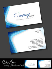 Wall Mural - abstract professional and designer business card template or vis