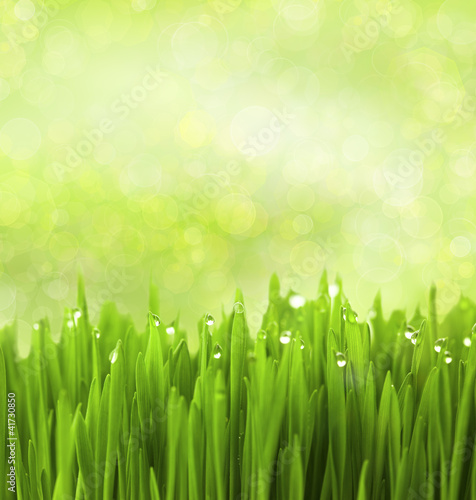 zielona-trawa-z-kropli-wody-na-abstrakcyjnym-tle-bokeh