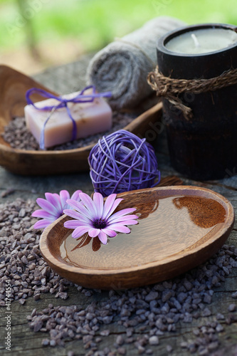 Tapeta ścienna Zestaw fioletowy dayspa natura