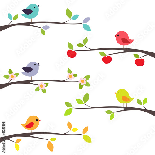 Fototapeta na wymiar Birds on branches