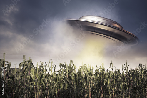 Tapeta ścienna na wymiar UFO hovering over a crop field