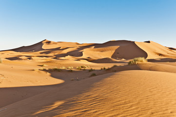 Wall Mural - Dunes of Erg Chebbi at Morocco