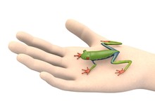 3d Render Of Hand With Frog