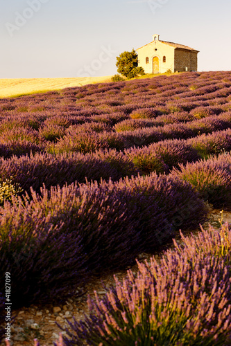 Naklejka samoprzylepna Kaplica z lawendowym polem, plateau de valensole, prowansja, fran