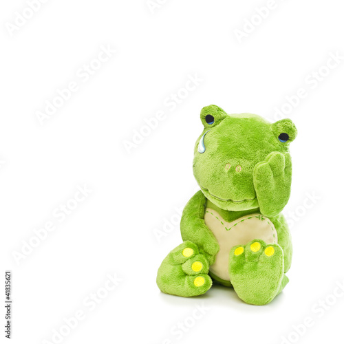 Fototapeta do kuchni kuschtier frosch ist traurig