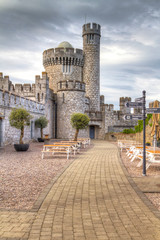 Wall Mural - Blackrock Castle and observarory in Cork, Ireland