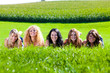 Women on meadow
