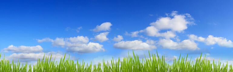  green grass and blue sky panorama with clouds