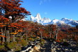 Mt. Fitz Roy Los Glaciares National Park, Patagonia, Argentina