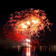 Wall Mural - Colorful firework in a night sky