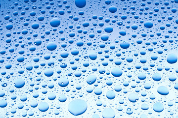 Wall Mural - Drops of water