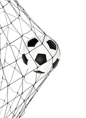 soccer ball in the net gate