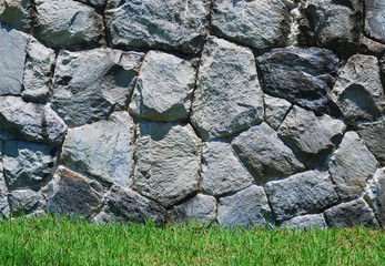 Fresh green grass on stone background