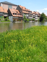 Wall Mural - Klein-Venedig in Bamberg