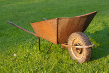 Old Wheelbarrow In Green Grass