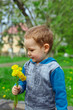 cute baby boy holding a bunch of dandelion flowers