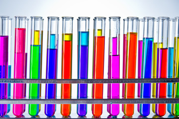 Wall Mural - Laboratory test tubes with colored liquids inside